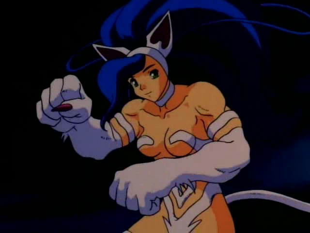 Vampire Hunter (Anime Seiden)